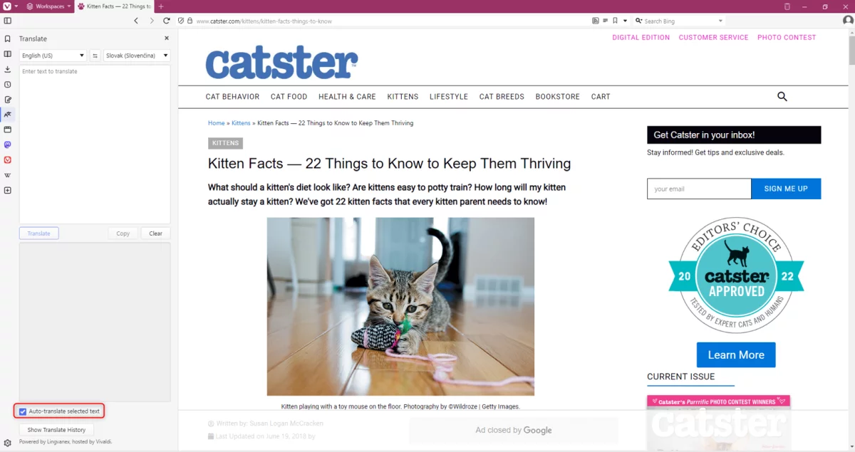 vivaldi browser screenshot