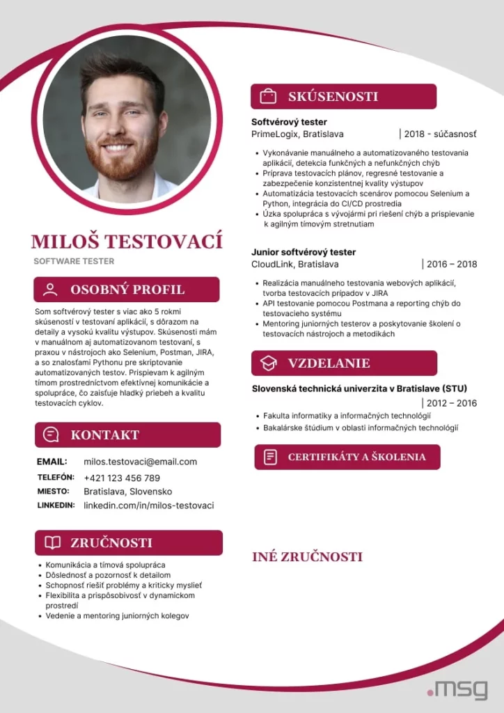 What a combined CV looks like – msg life Slovakia Structured CV - Combined CV template